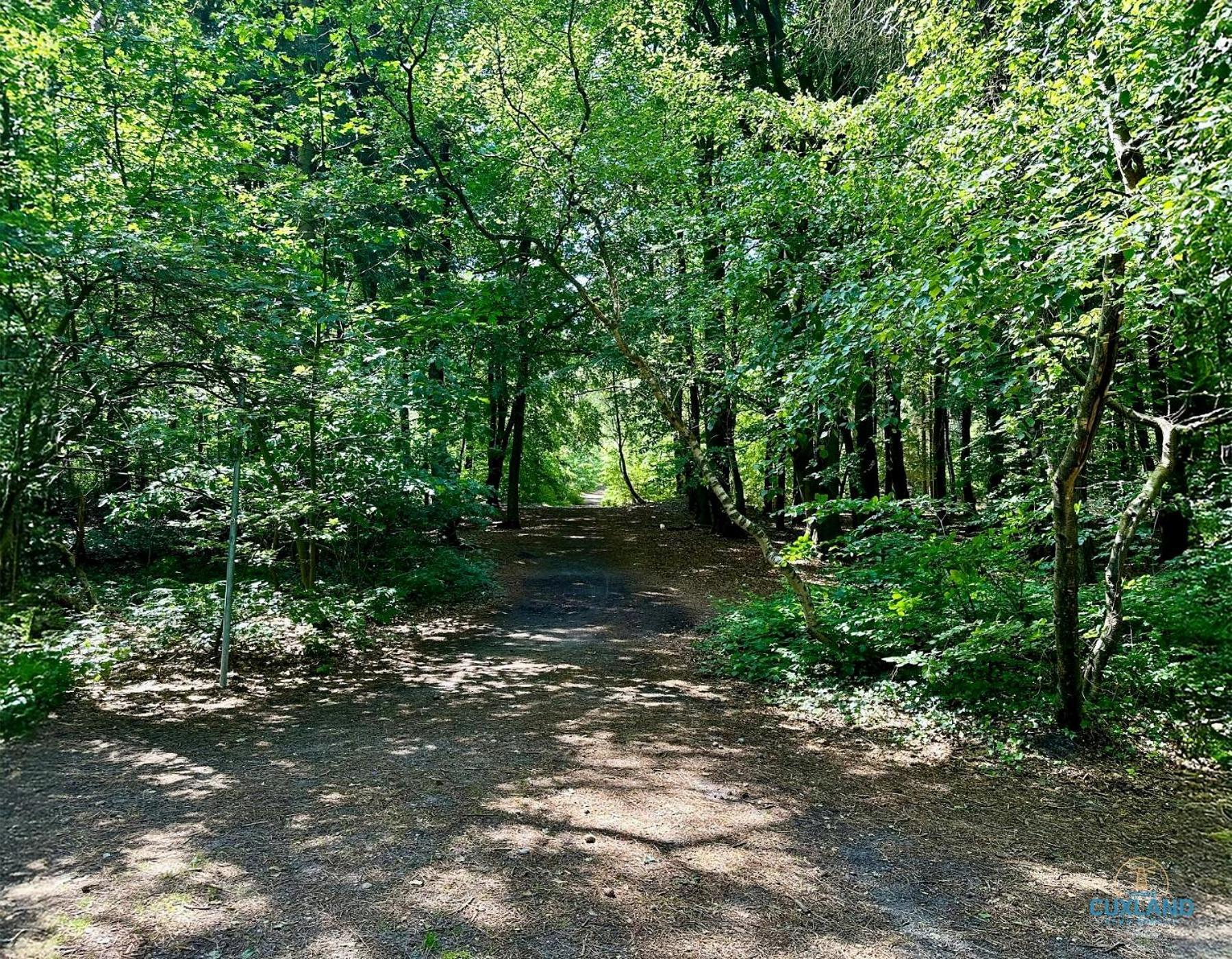 クックスハーフェンAuszeit Am Wernerwald Im Haus Frauenpreissアパートメント エクステリア 写真